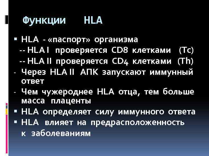 Функции HLA - «паспорт» организма -- HLA I проверяется CD 8 клетками (Tc) --