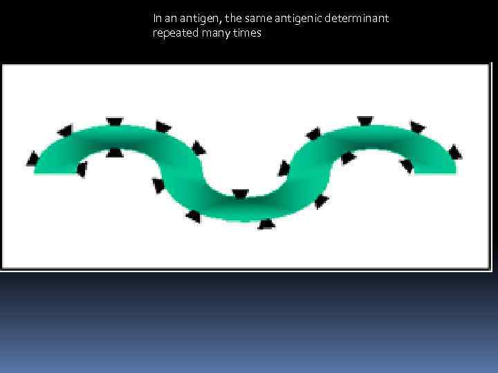 In an antigen, the same antigenic determinant repeated many times 