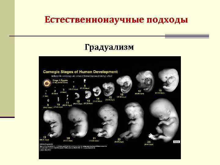 Естественнонаучные подходы Градуализм 