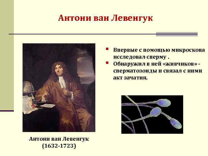 Антони ван Левенгук § § Антони ван Левенгук (1632 -1723) Впервые с помощью микроскопа
