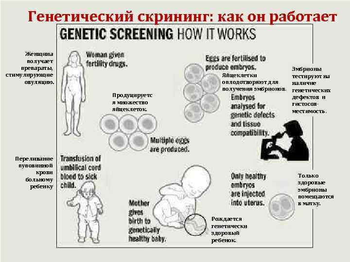 Генетический скрининг: как он работает Женщина получает препараты, стимулирующие овуляцию. Продуцируетс я множество яйцеклеток.