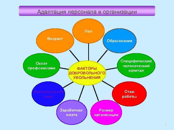 Адаптация персонала в организации Пол Возраст Охват профсоюзами Образование ФАКТОРЫ ДОБРОВОЛЬНОГО УВОЛЬНЕНИЯ Экономический цикл