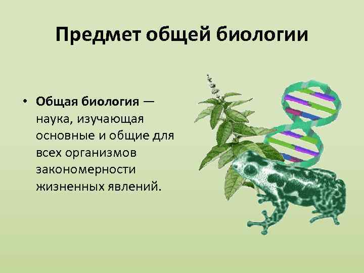 Что изучает биология. Предмет общей биологии. Предмет общая биология изучает. Объект изучения общей биологии. Предмет исследования биологии.