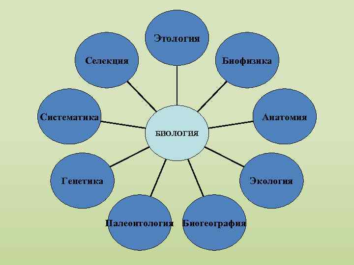 Этология Селекция Биофизика Систематика Анатомия БИОЛОГИЯ Генетика Экология Палеонтология Биогеография 