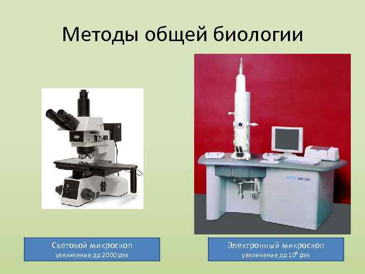 Увеличение которое дает световой микроскоп