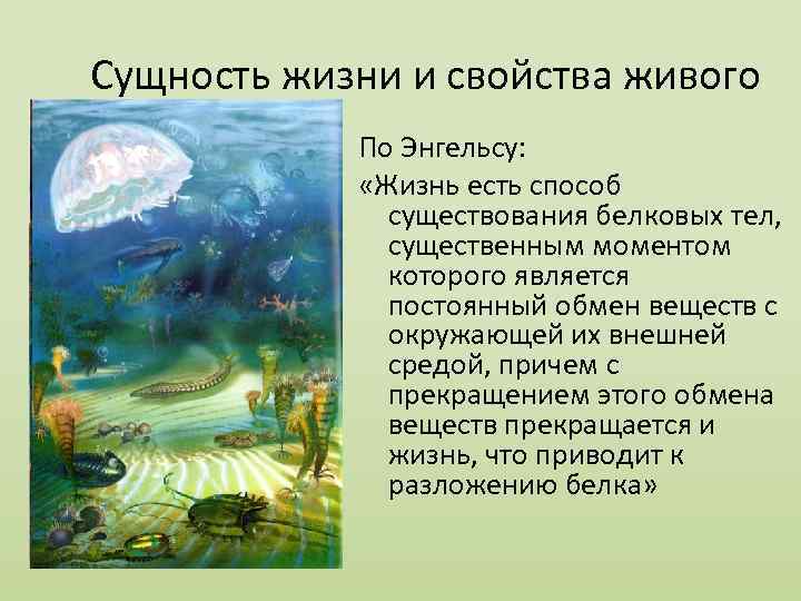 Сущность жизни и свойства живого По Энгельсу: «Жизнь есть способ существования белковых тел, существенным