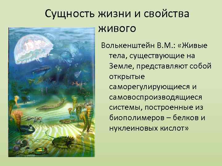 Жизненное свойство. Сущность жизни и свойства живого. Свойства жизни. Сущность жизни и свойства живого уровни организации живого. Основные свойства жизни.