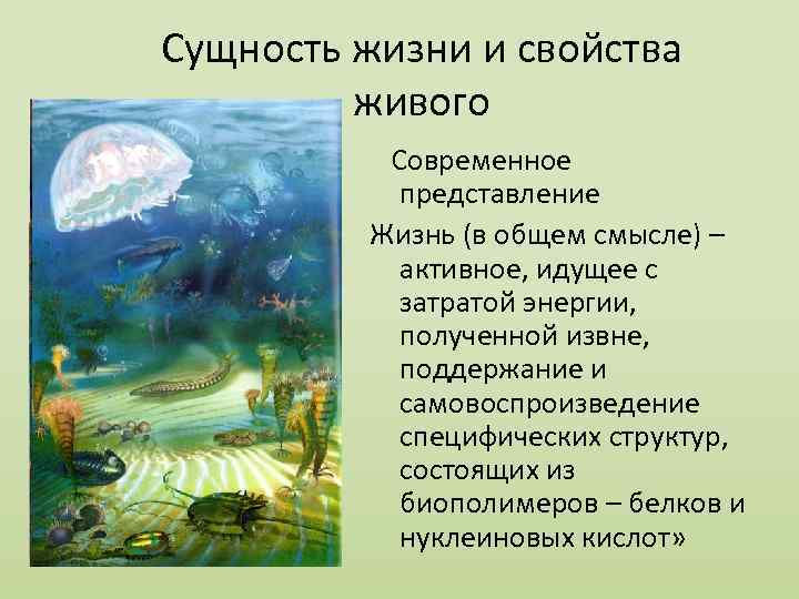 Сущность живого биология. Сущность и свойства живого. Сущность это в биологии. Сущность жизни. Сущность жизни биология.