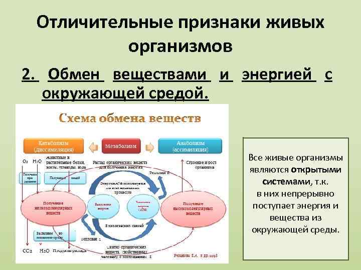 Отличительные признаки живых организмов 2. Обмен веществами и энергией с окружающей средой. Все живые