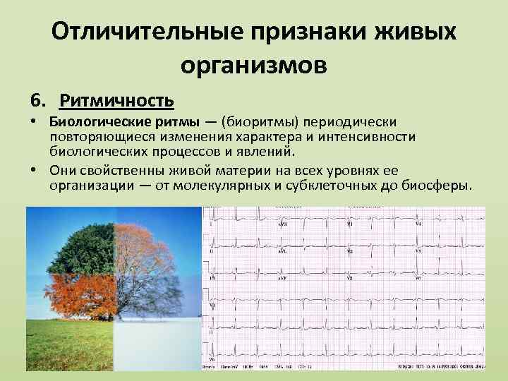 Какой признак живого демонстрирует процесс представленный на рисунке обмен веществ ритмичность ответ