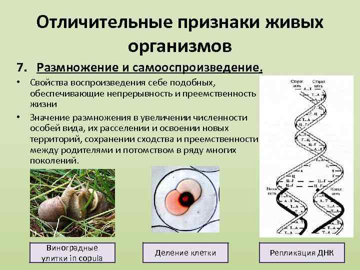 Признаки живого биологические науки