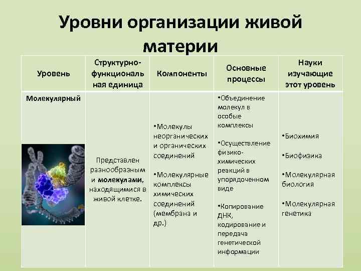 Процессы жизнедеятельности организмов 5 класс биология