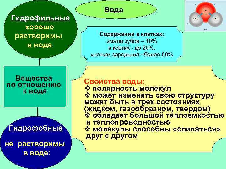 Вещества хорошо растворяющиеся в воде. Гидрофильные вещества клетки.