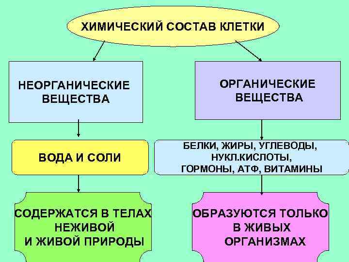 Презентация неорганические вещества клетки 10 класс биология