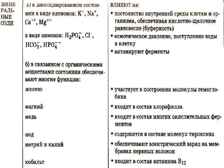 Презентация неорганические вещества клетки 10 класс биология