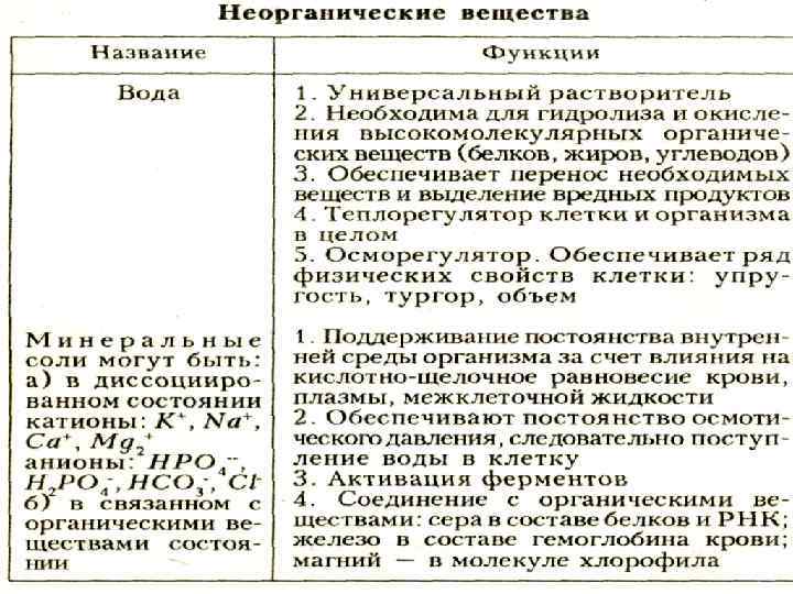 Презентация неорганические вещества клетки вода и минеральные соли