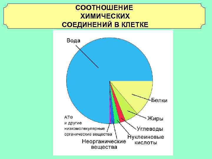 Презентация неорганические вещества клетки вода и минеральные соли