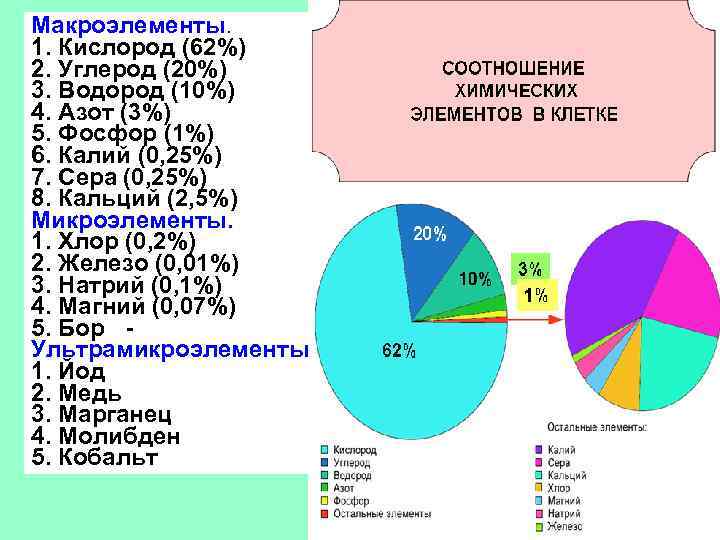 Макроэлементы. 1. Кислород (62%) 2. Углерод (20%) 3. Водород (10%) 4. Азот (3%) 5.