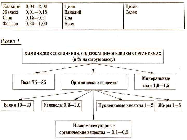 Химический состав клетки вода и минеральные соли