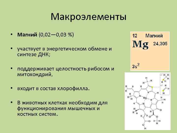 Химический состав живого