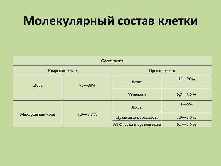 Молекул состав клетки. Молекулярный состав клетки. Молекулярный химический состав клетки. Молекулярный состав клетки таблица. Молекулярный состав клетки органические вещества.