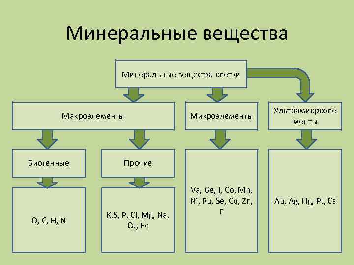 Функции макроэлементов