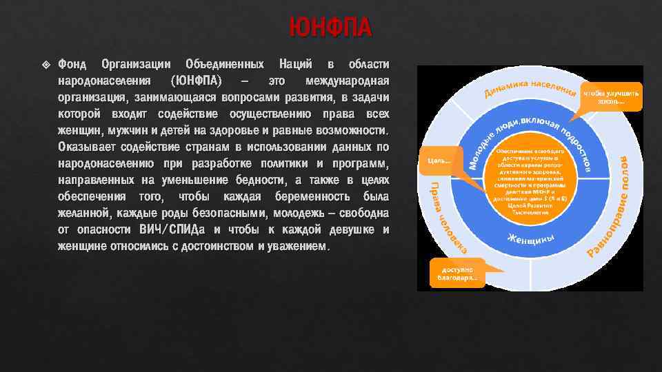 ЮНФПА Фонд Организации Объединенных Наций в области народонаселения (ЮНФПА) – это международная организация, занимающаяся