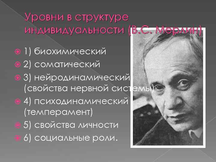 Уровни в структуре индивидуальности (В. С. Мерлин) 1) биохимический 2) соматический 3) нейродинамический (свойства