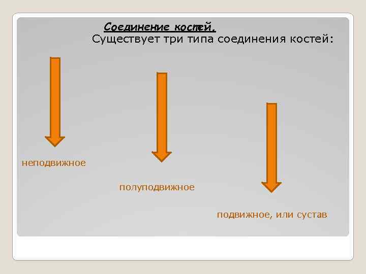 Соединение костей. Существует три типа соединения костей: неподвижное полуподвижное подвижное, или сустав 