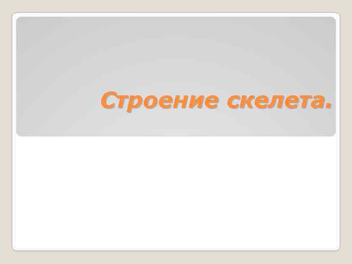 Строение скелета. 