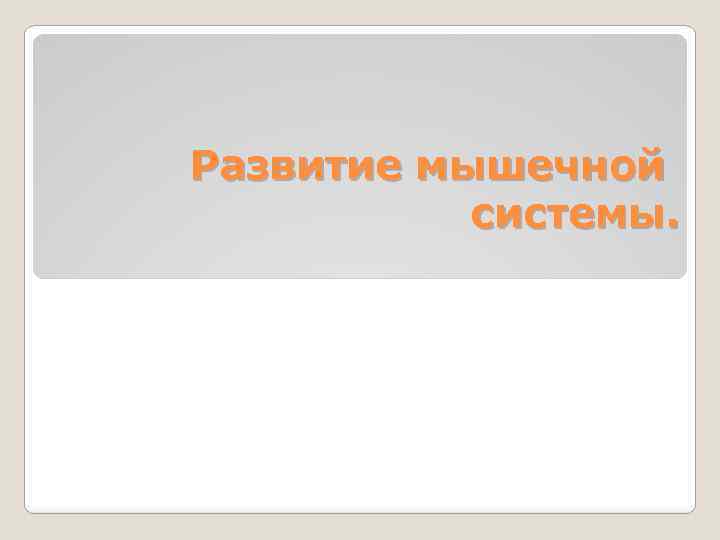 Развитие мышечной системы. 