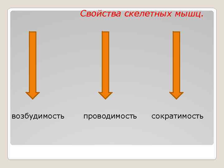  Свойства скелетных мышц. возбудимость проводимость сократимость 