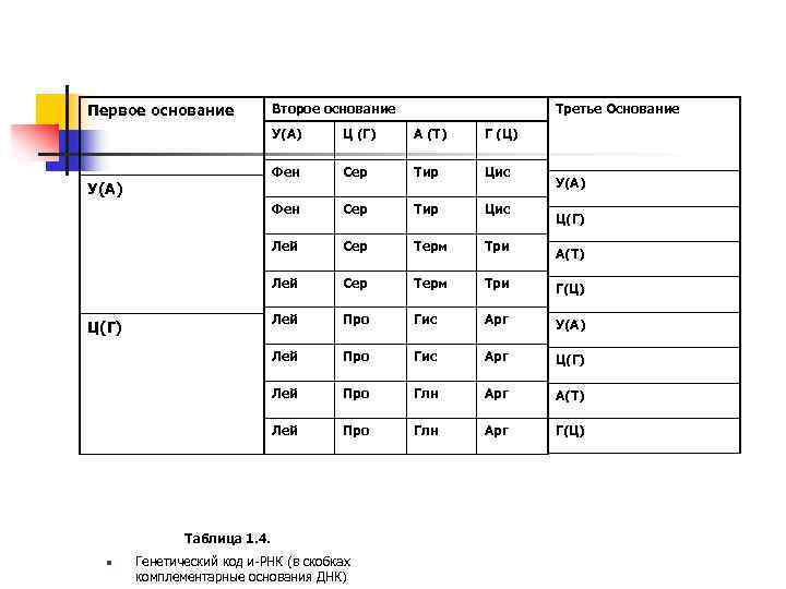 Первое основание Второе основание Третье Основание У(А) Г (Ц) Сер Тир Цис Фен Сер