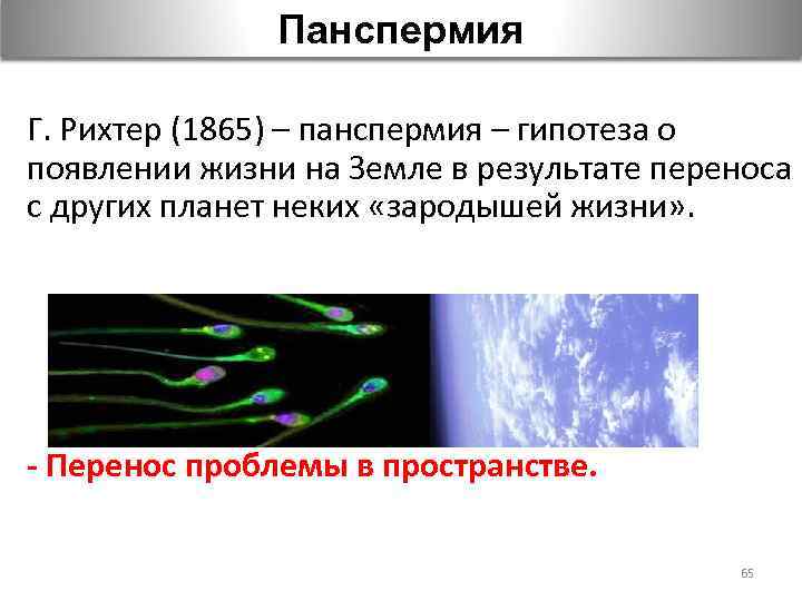 Панспермия Г. Рихтер (1865) – панспермия – гипотеза о появлении жизни на Земле в