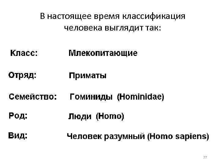 В настоящее время классификация человека выглядит так: 77 
