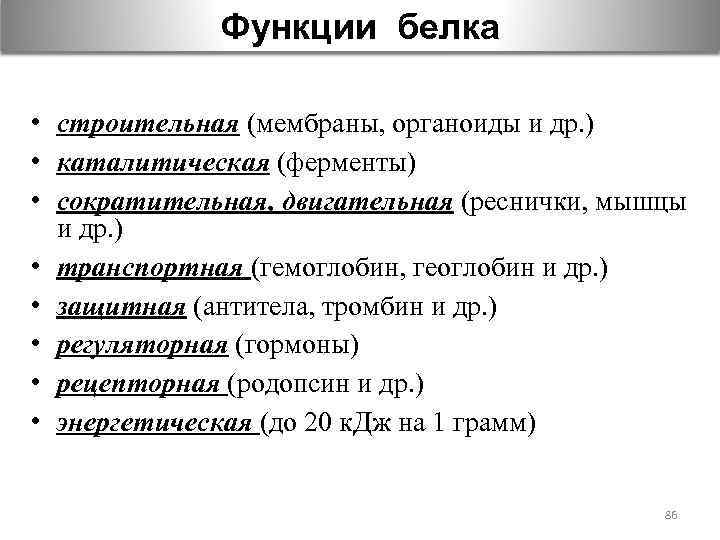Функции белка • строительная (мембраны, органоиды и др. ) • каталитическая (ферменты) • сократительная,