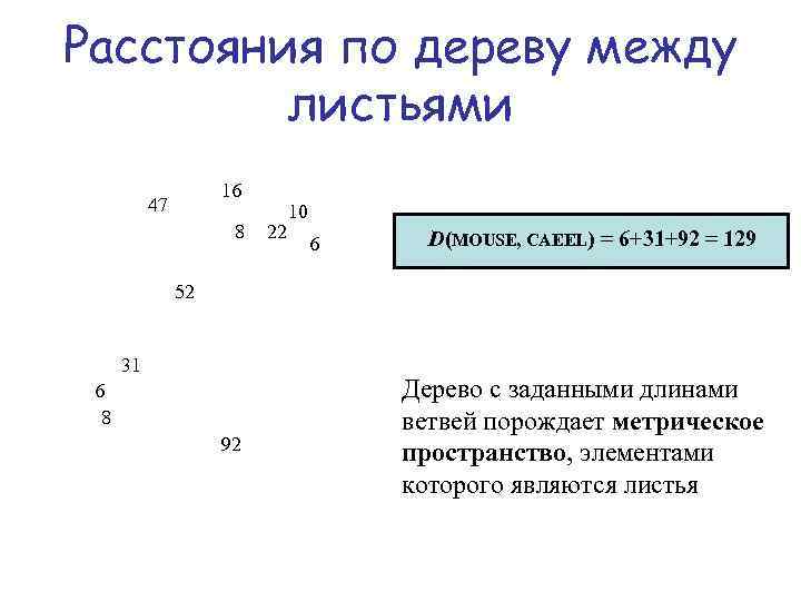 Расстояния по дереву между листьями 16 47 8 22 10 6 D(MOUSE, CAEEL) =