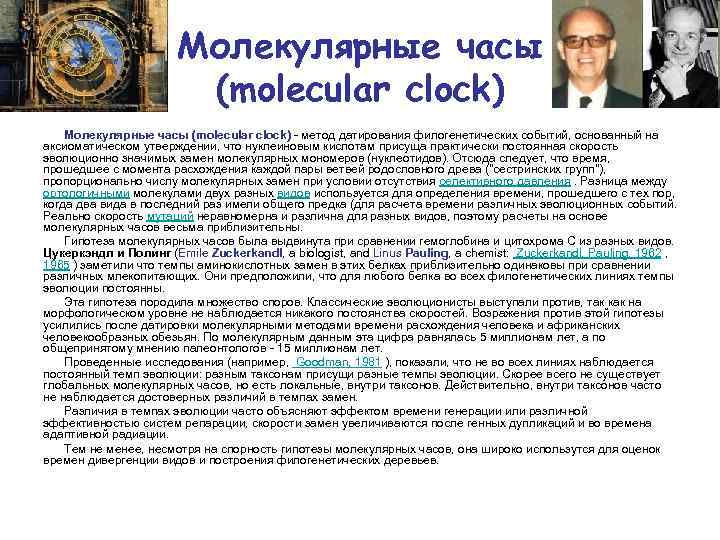 Молекулярные часы (molecular clock) - метод датирования филогенетических событий, основанный на аксиоматическом утверждении, что