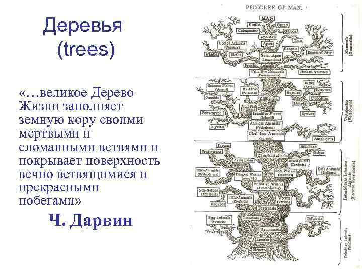 Деревья (trees) «…великое Дерево Жизни заполняет земную кору своими мертвыми и сломанными ветвями и
