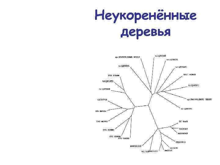 Неукоренённые деревья 