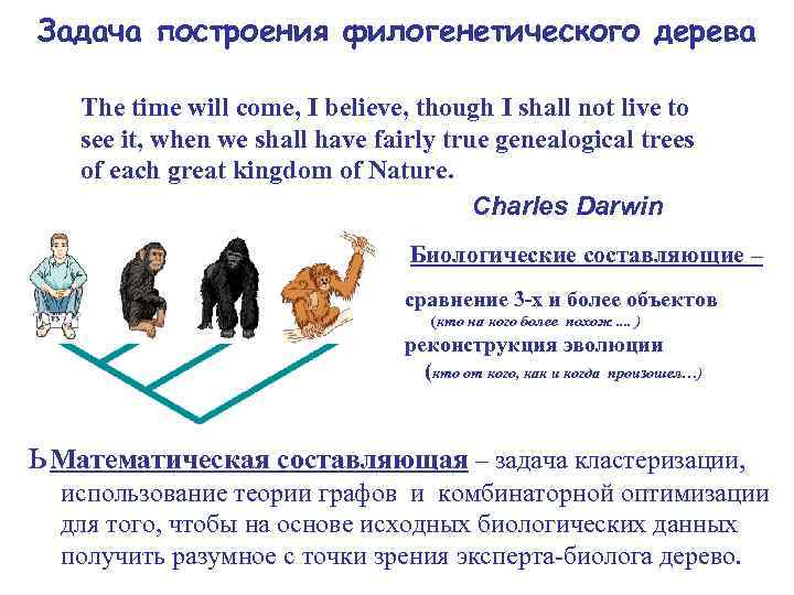 Задача построения филогенетического дерева The time will come, I believe, though I shall not