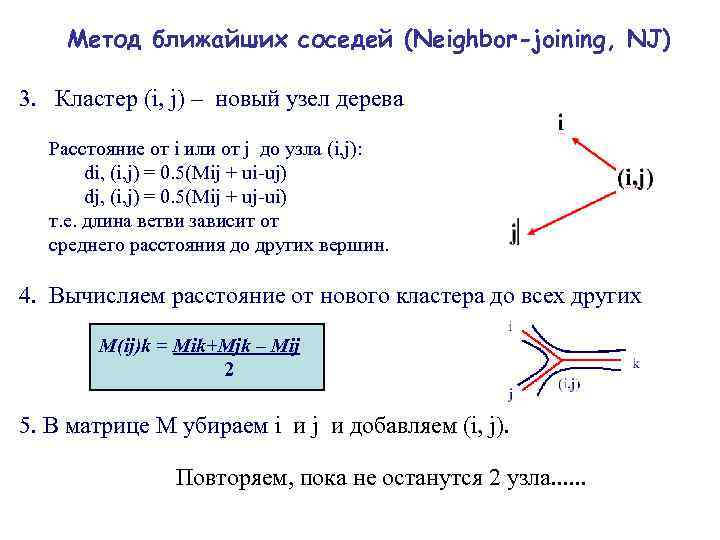 Метод ближайших соседей (Neighbor-joining, NJ) 3. Кластер (i, j) – новый узел дерева Расстояние