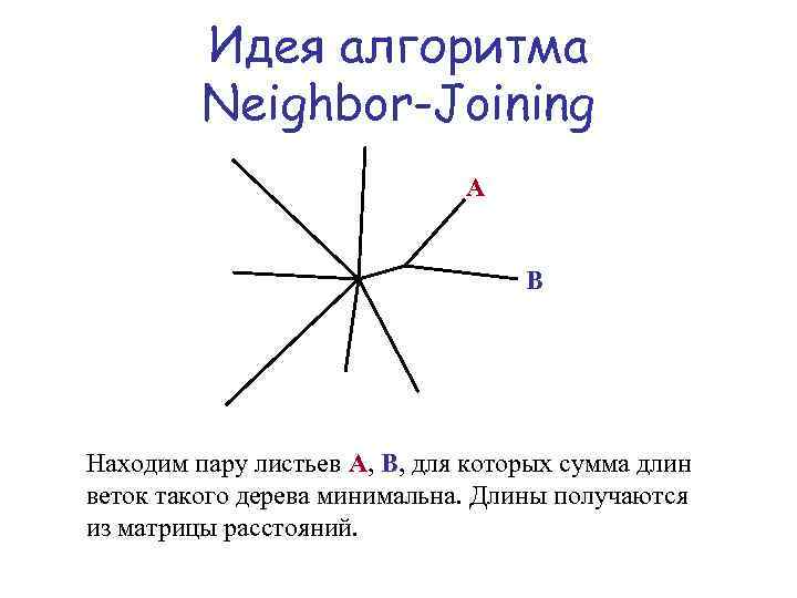 Идея алгоритма Neighbor-Joining A B Находим пару листьев A, B, для которых сумма длин