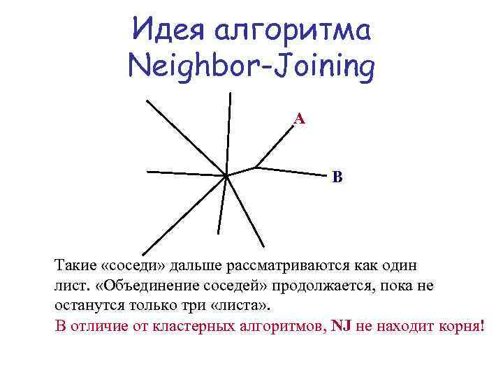 Идея алгоритма Neighbor-Joining A B Такие «соседи» дальше рассматриваются как один лист. «Объединение соседей»