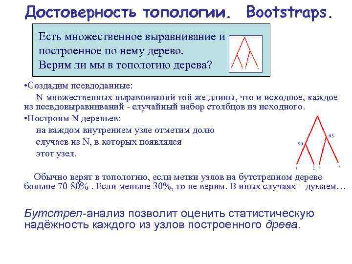 Достоверность топологии. Bootstraps. Есть множественное выравнивание и построенное по нему дерево. Верим ли мы