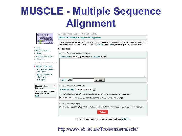 MUSCLE - Multiple Sequence Alignment http: //www. ebi. ac. uk/Tools/msa/muscle/ 