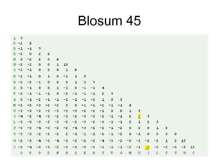 Blosum 45 