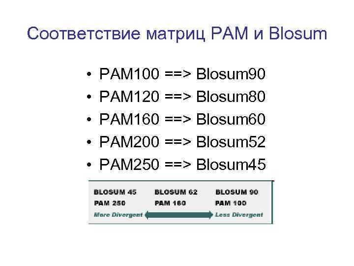 Соответствие матриц PAM и Blosum • • • PAM 100 ==> Blosum 90 PAM