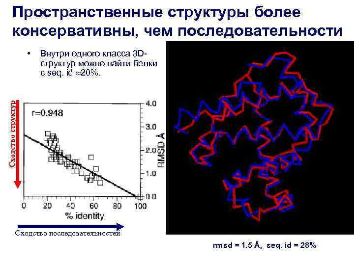 Пространственные структуры более консервативны, чем последовательности • Внутри одного класса 3 D- структур можно