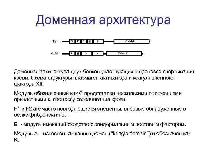 Доменная архитектура двух белков участвующих в процессе свертывания крови. Схема структуры плазмаген-активатора и коагуляционного